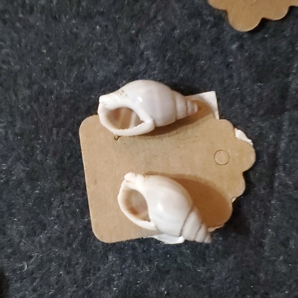 Assorted Shell Earrings - Picture 11 of 16